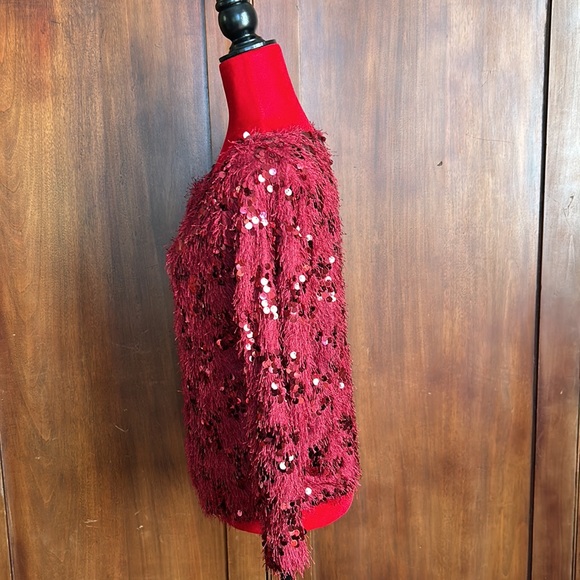 Burgundy Eyelash Sequin Sweater L - Picture 2 of 8